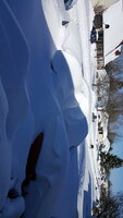 2016-01-24 11.21.53.jpg