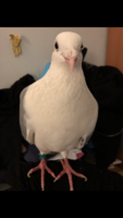 54342058-DA7E-4D4E-B50D-40B46FB0599B.png