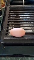 20190704_152259.jpg