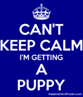 5950512_cant_keep_calm_im_getting_a_puppy.png