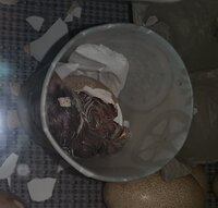 25A5C131-38E0-4815-A5A3-8691941E1E90.jpeg
