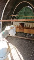 DSC_0031.JPG