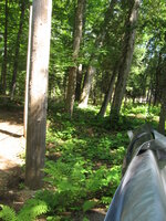 Coop & Run Location from East side 001.JPG