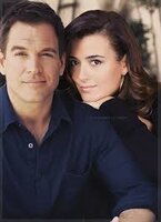 Tony and Ziva.jpg