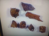 20190717_130529.jpg