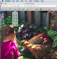 Screen Shot 2019-07-17 at 1.27.24 PM.png