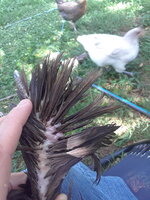 20190718_170505.jpg