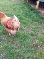 2019-07-19 14.23.59.jpg