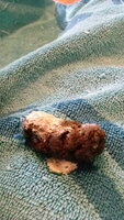 20190720_101920.jpg 20190720_101920.jpg
