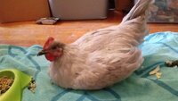 20190720_102048.jpg 20190720_102048.jpg