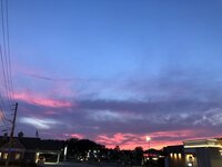 8D6F5AC4-7657-42D0-8CBC-2C450276B216.jpeg
