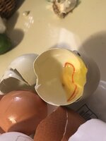IMG_1329.jpeg