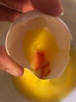 IMG_1330.jpeg