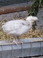 20190717_060043.jpg