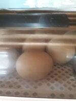 20190722_161938.jpg 20190722_161938.jpg