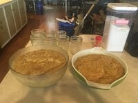 IMG_1196.JPG