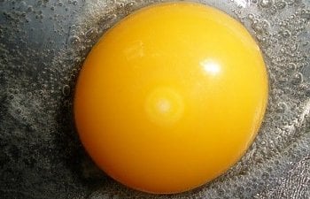 Interesting Facts About Chicken Eggs