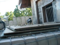 P1010944.JPG