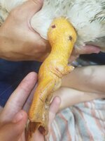 20190722_221626.jpg 20190722_221626.jpg