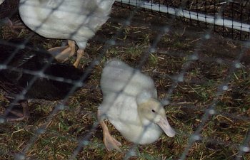 101_0100.JPG 101_0100.JPG