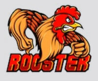 rooster power.jpg