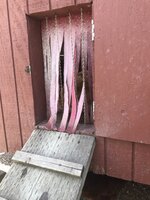 2D8704C4-5F54-4069-9E8F-EB1EECCFCEC4.jpeg