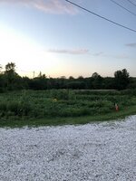 A642729E-C854-4D64-8BD0-53CCA64A10DE.jpeg