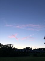 AB3E4B17-E457-4F87-A3C4-E946F463C3C4.jpeg