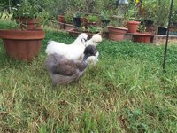 24060457-CB30-4919-A9DB-6481615AFBAD.jpeg