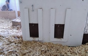 new brooder door.jpg