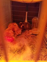 20190725_141814.jpg