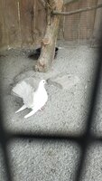 20190726_113210.jpg
