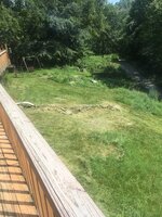 IMG_1212.JPG