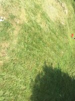 IMG_1218.JPG