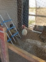 20190728_090309.jpg