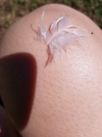 20190728_132647.jpg