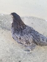 20190728_102311.jpg