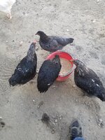 20190728_102220.jpg