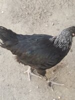 20190728_102201.jpg