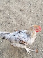 20190728_102358.jpg