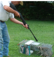 pellet gun.png