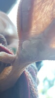20190729_184530.jpg