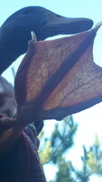 20190729_184524.jpg