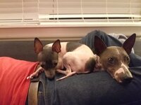 20190730_000839.jpg