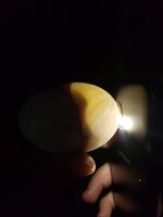 20190730_143810.jpg