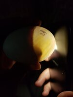 20190730_143805.jpg