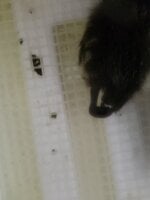 20190730_152113.jpg