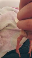 0731191159.jpg