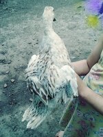 20190802_110512_Film3.jpg