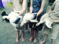 20190802_111113_Film3.jpg